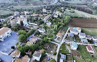 TEK TAPU ÇATALCA KESTANELİKTE YATIRIM FIRSATI