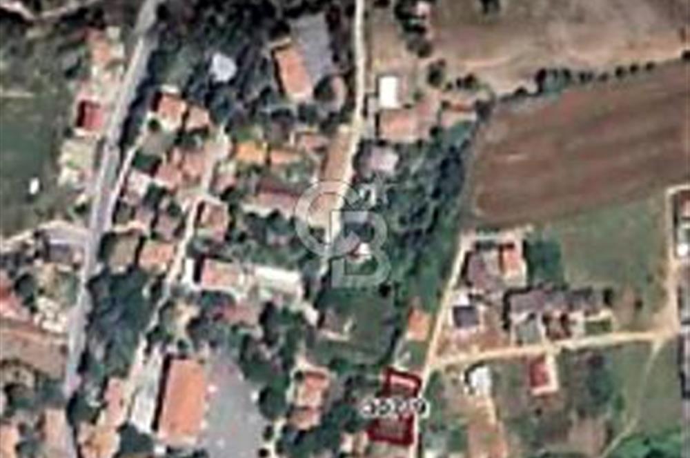TEK TAPU ÇATALCA KESTANELİKTE YATIRIM FIRSATI