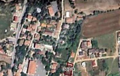 TEK TAPU ÇATALCA KESTANELİKTE YATIRIM FIRSATI