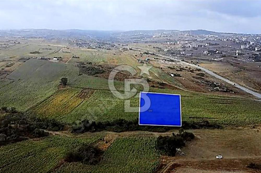 YENİŞEHİR İMAR PLANLARI İÇERİSİNDE TEK TAPU YATIRIM FIRSATI