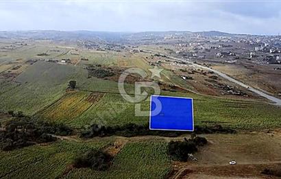 YENİŞEHİR İMAR PLANLARI İÇERİSİNDE TEK TAPU YATIRIM FIRSATI