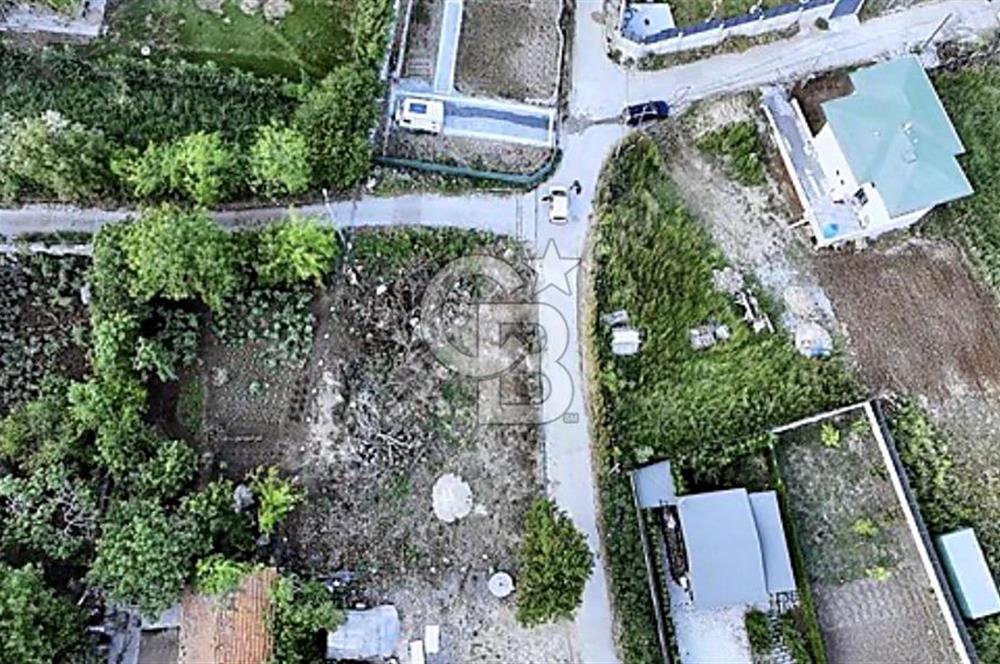 TEK TAPU ÇATALCA KESTANELİKTE YATIRIM FIRSATI