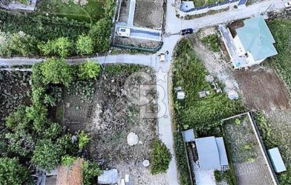 TEK TAPU ÇATALCA KESTANELİKTE YATIRIM FIRSATI
