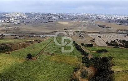 YENİŞEHİR İMAR PLANLARI İÇERİSİNDE TEK TAPU YATIRIM FIRSATI
