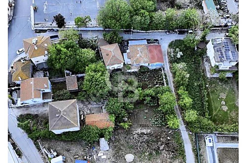 TEK TAPU ÇATALCA KESTANELİKTE YATIRIM FIRSATI