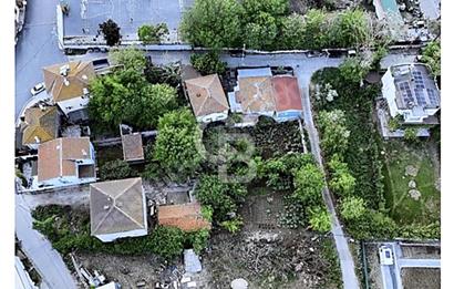 TEK TAPU ÇATALCA KESTANELİKTE YATIRIM FIRSATI