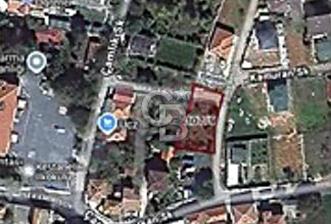TEK TAPU ÇATALCA KESTANELİKTE YATIRIM FIRSATI