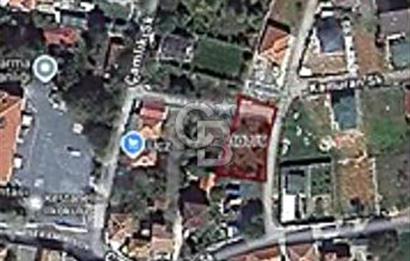 TEK TAPU ÇATALCA KESTANELİKTE YATIRIM FIRSATI
