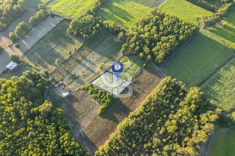 CB MARİNA'DAN ULA SARAYYANI 700m2 ANA YOLA YAKIN TARLA