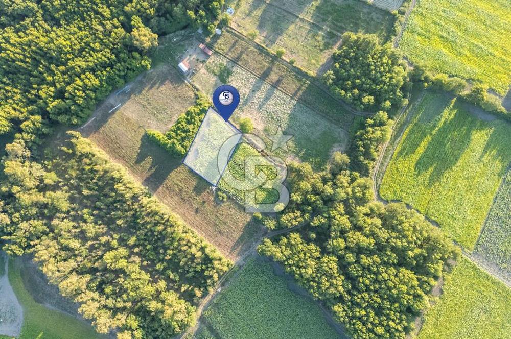 CB MARİNA'DAN ULA SARAYYANI 700m2 ANA YOLA YAKIN TARLA
