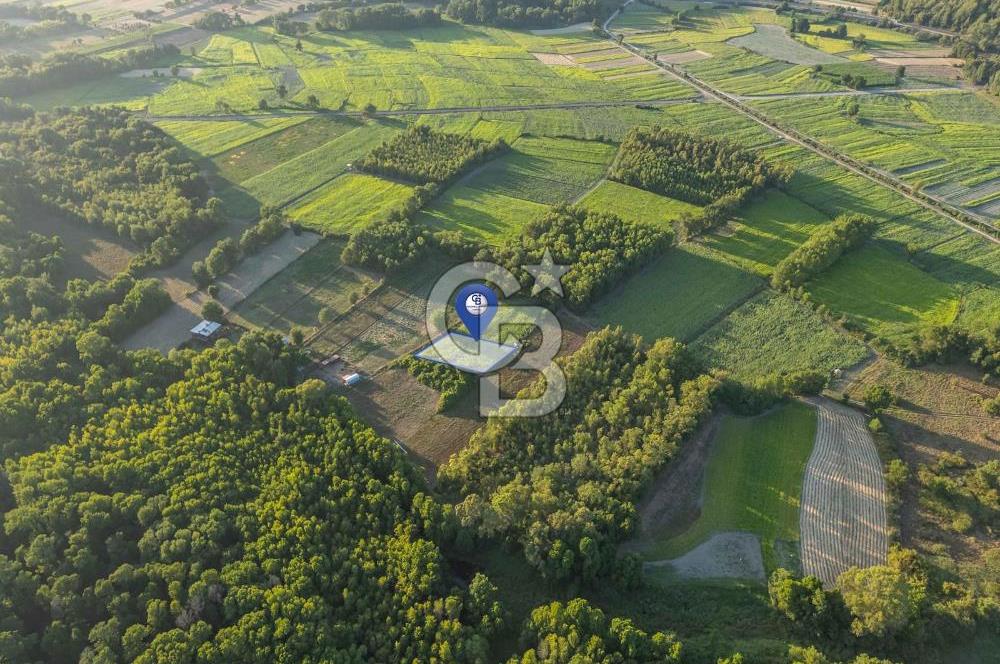 CB MARİNA'DAN ULA SARAYYANI 700m2 ANA YOLA YAKIN TARLA