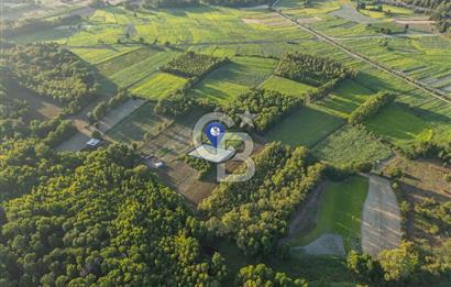 CB MARİNA'DAN ULA SARAYYANI 700m2 ANA YOLA YAKIN TARLA