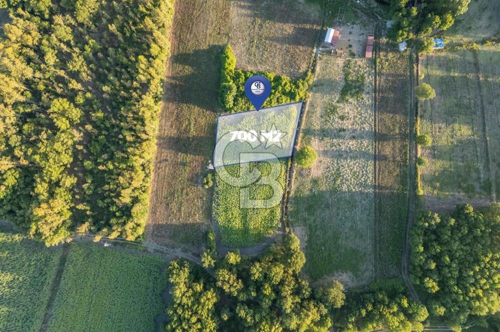 CB MARİNA'DAN ULA SARAYYANI 700m2 ANA YOLA YAKIN TARLA