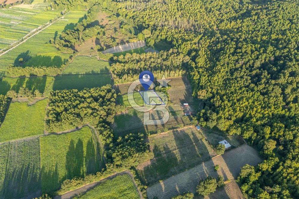 CB MARİNA'DAN ULA SARAYYANI 700m2 ANA YOLA YAKIN TARLA