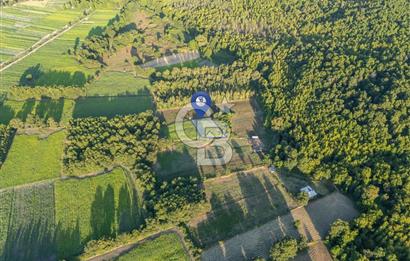 CB MARİNA'DAN ULA SARAYYANI 700m2 ANA YOLA YAKIN TARLA
