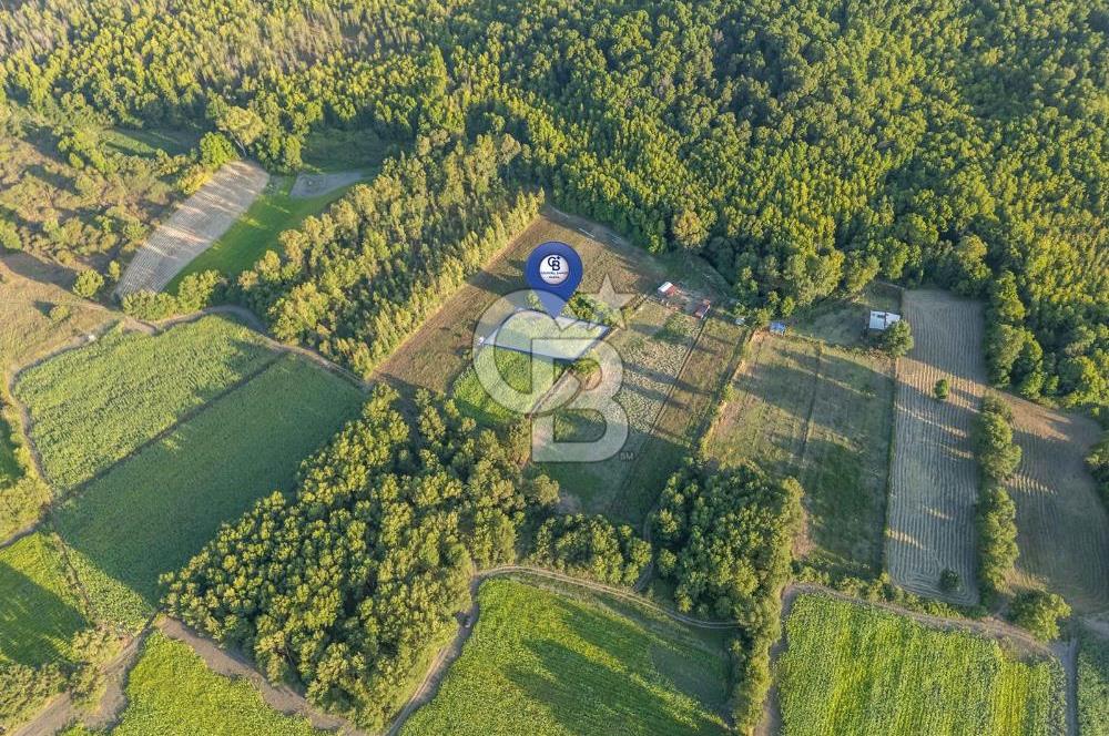 CB MARİNA'DAN ULA SARAYYANI 700m2 ANA YOLA YAKIN TARLA