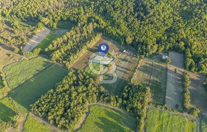 CB MARİNA'DAN ULA SARAYYANI 700m2 ANA YOLA YAKIN TARLA