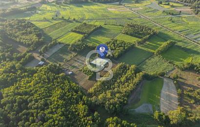 CB MARİNA'DAN ULA SARAYYANI 1436m2 UYGUN FİYATLI TARLA