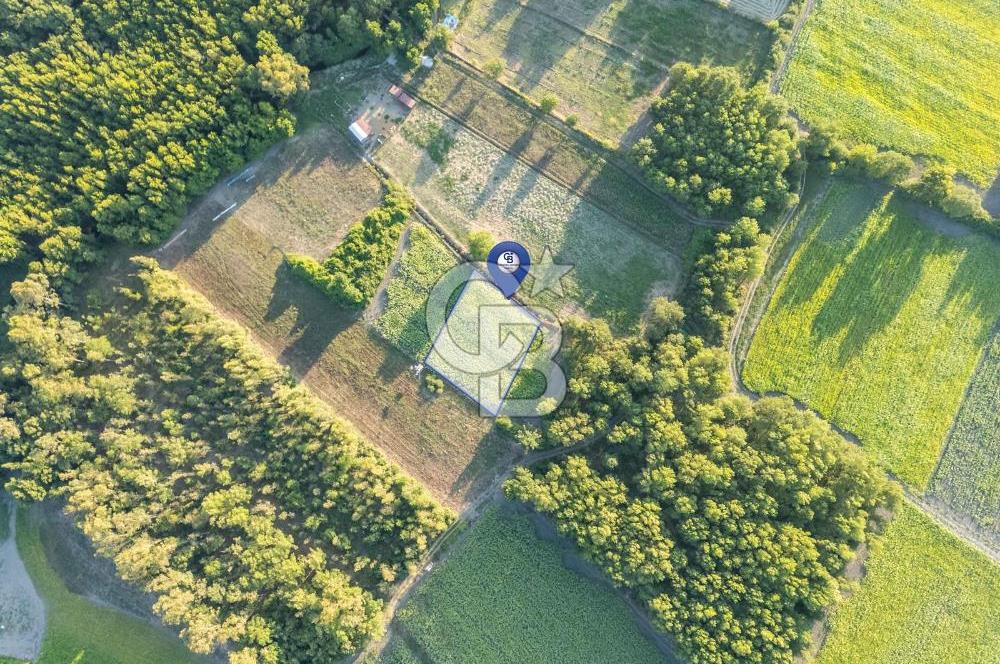 CB MARİNA'DAN ULA SARAYYANI 1436m2 UYGUN FİYATLI TARLA