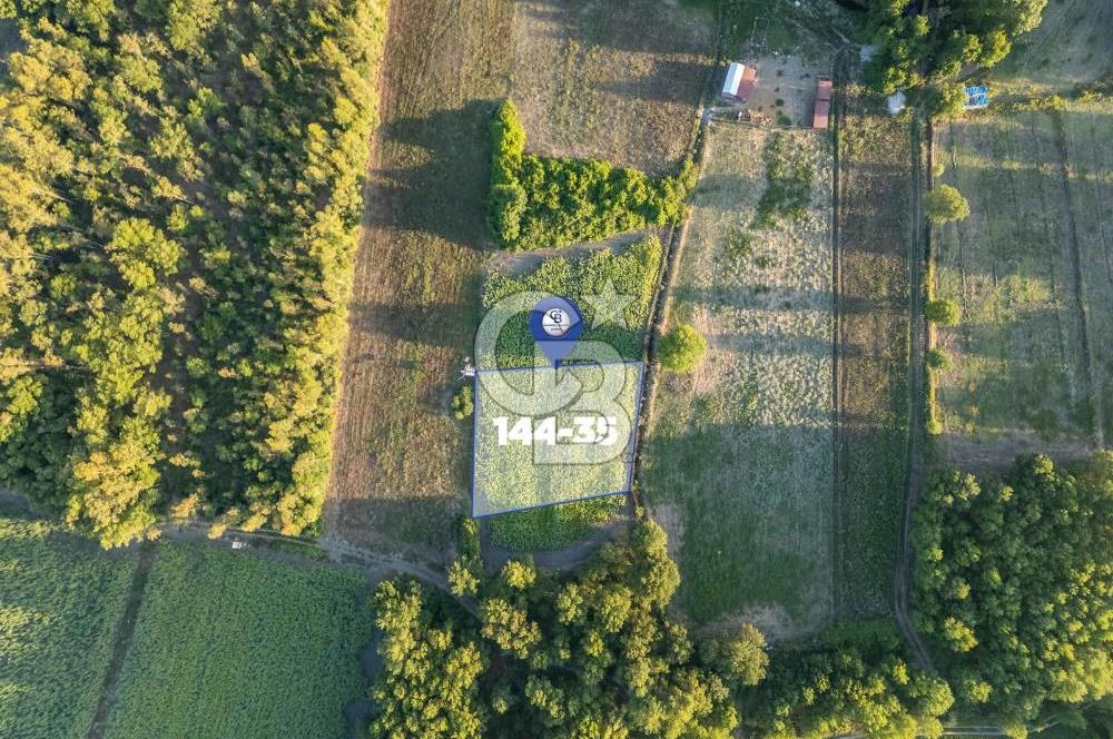 CB MARİNA'DAN ULA SARAYYANI 1436m2 UYGUN FİYATLI TARLA