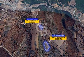 CB ELEGANCE DEN ÇAYDERE KÖYÜNDE SATILIK TARLA - 11.546 M2