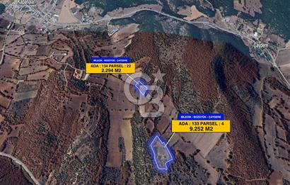 CB ELEGANCE DEN ÇAYDERE KÖYÜNDE SATILIK TARLA - 11.546 M2