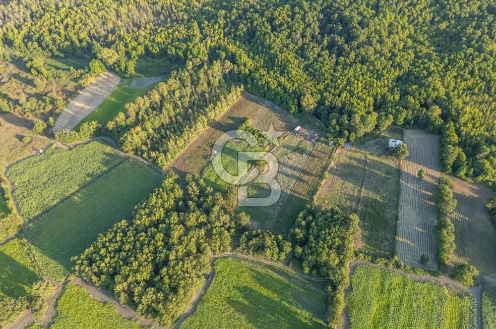 CB MARİNA'DAN ULA SARAYYANI 1436m2 UYGUN FİYATLI TARLA