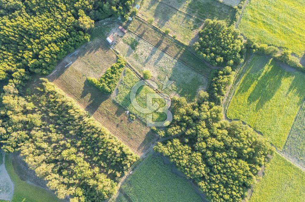 CB MARİNA'DAN ULA SARAYYANI 1436m2 UYGUN FİYATLI TARLA