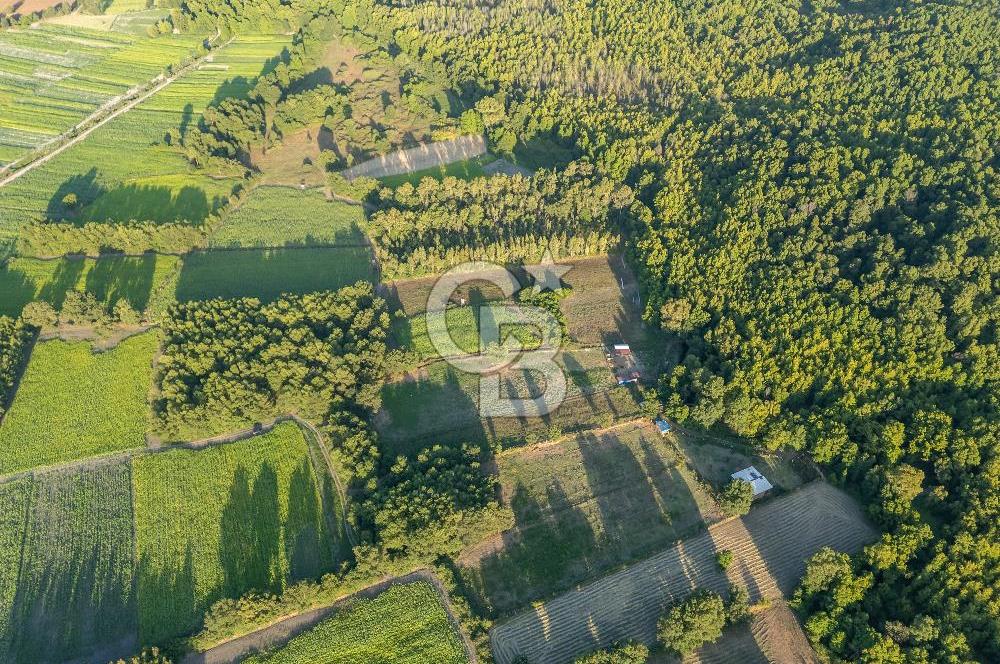 CB MARİNA'DAN ULA SARAYYANI 1436m2 UYGUN FİYATLI TARLA