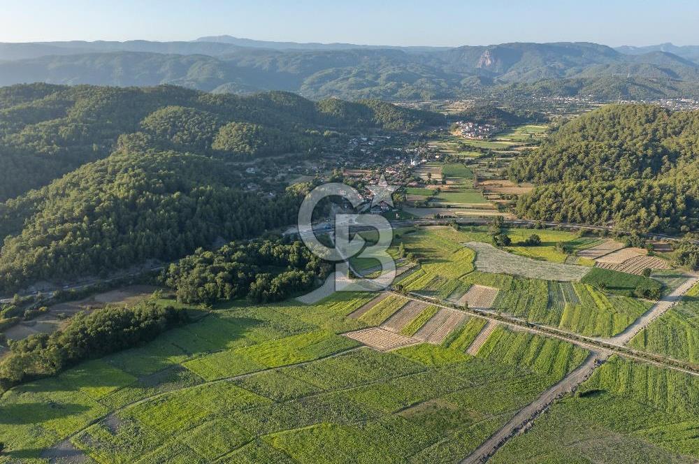 CB MARİNA'DAN ULA SARAYYANI 1436m2 UYGUN FİYATLI TARLA