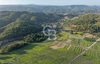 CB MARİNA'DAN ULA SARAYYANI 1436m2 UYGUN FİYATLI TARLA