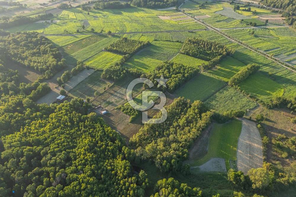 CB MARİNA'DAN ULA SARAYYANI 1436m2 UYGUN FİYATLI TARLA