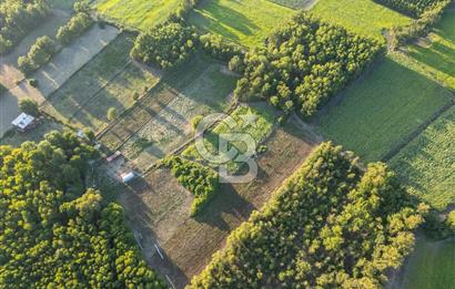 CB MARİNA'DAN ULA SARAYYANI 1436m2 UYGUN FİYATLI TARLA