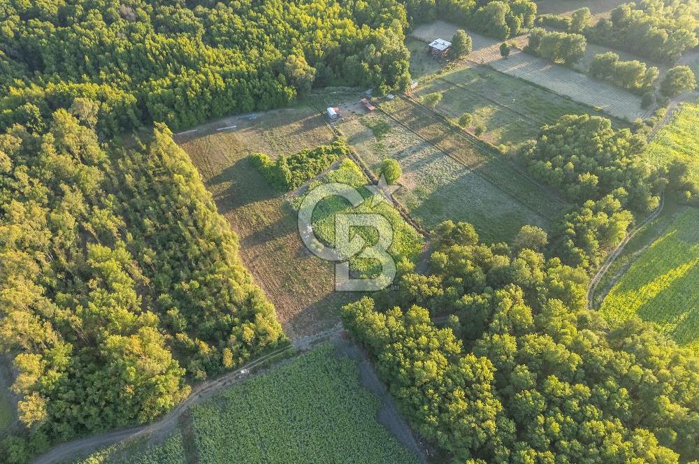 CB MARİNA'DAN ULA SARAYYANI 1436m2 UYGUN FİYATLI TARLA