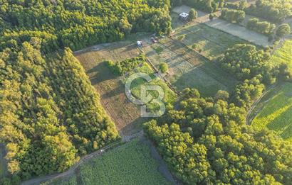 CB MARİNA'DAN ULA SARAYYANI 1436m2 UYGUN FİYATLI TARLA
