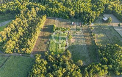 CB MARİNA'DAN ULA SARAYYANI 1436m2 UYGUN FİYATLI TARLA