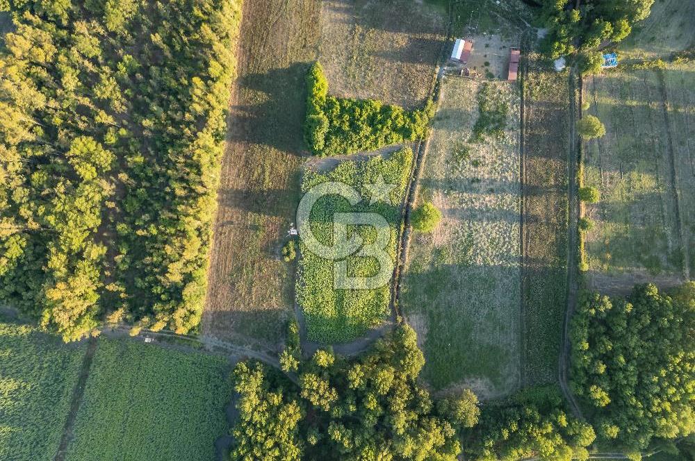 CB MARİNA'DAN ULA SARAYYANI 1436m2 UYGUN FİYATLI TARLA