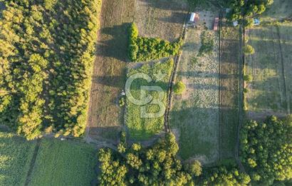 CB MARİNA'DAN ULA SARAYYANI 1436m2 UYGUN FİYATLI TARLA