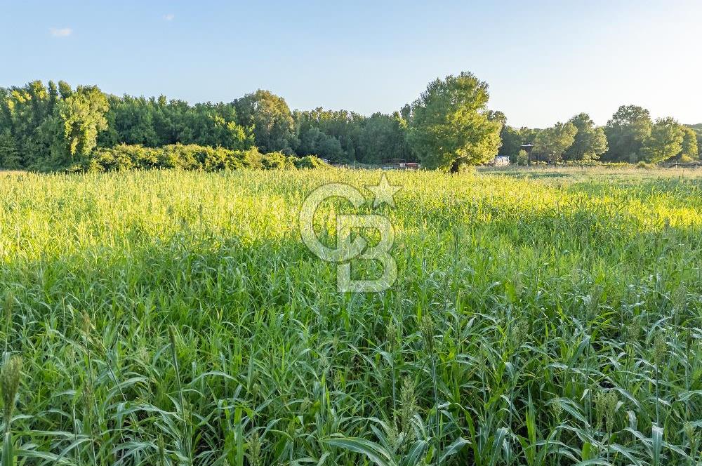 CB MARİNA'DAN ULA SARAYYANI 1436m2 UYGUN FİYATLI TARLA