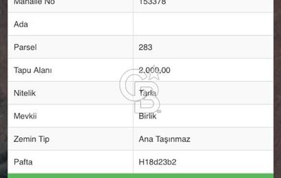 FIRSAT ÇANAKKALE ÇAN YAYKIN KÖYÜNDE SATILIK TARLA