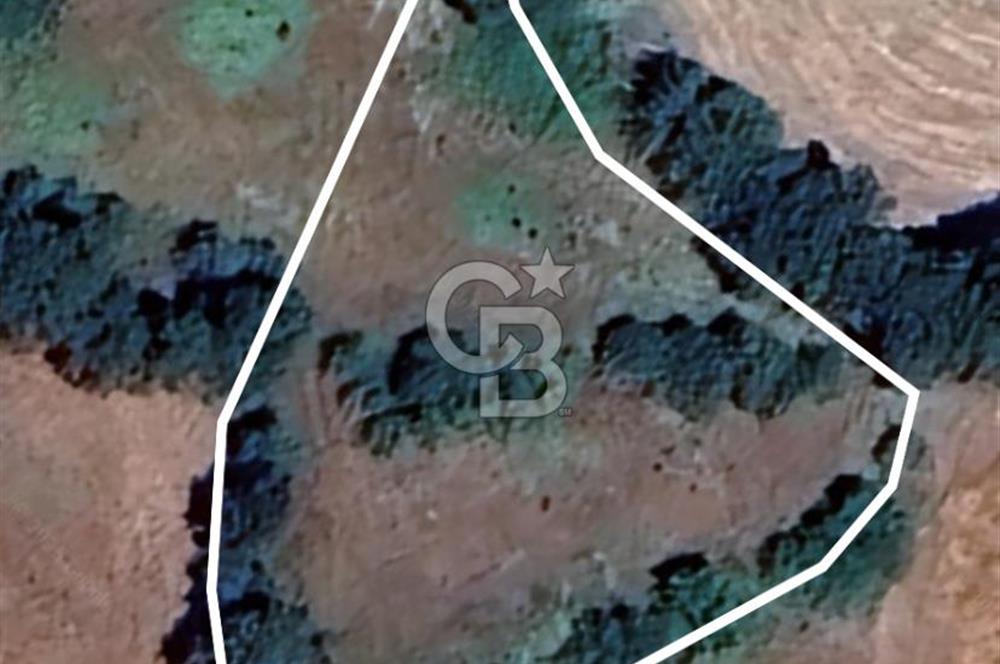 FIRSAT ÇANAKKALE ÇAN YAYKIN KÖYÜNDE SATILIK TARLA