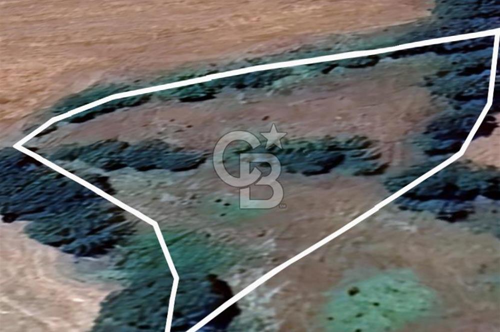 FIRSAT ÇANAKKALE ÇAN YAYKIN KÖYÜNDE SATILIK TARLA