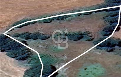 FIRSAT ÇANAKKALE ÇAN YAYKIN KÖYÜNDE SATILIK TARLA