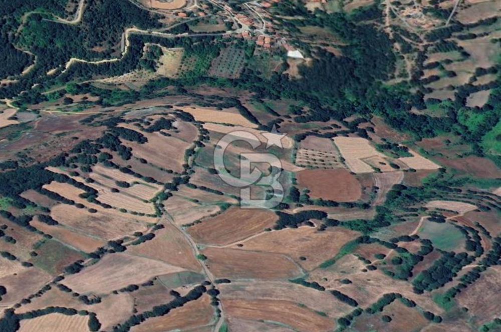 FIRSAT ÇANAKKALE ÇAN YAYKIN KÖYÜNDE SATILIK TARLA