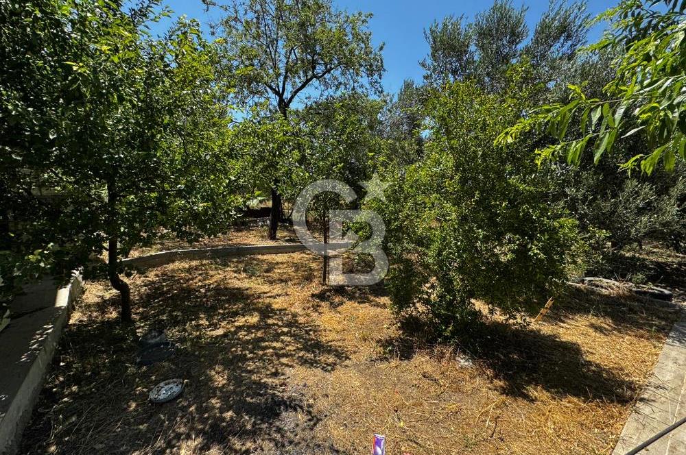 ÇANAKKALE, LAPSEKİ, KANGIRLI KÖYÜNDE SATILIK MÜSTAKİL EV