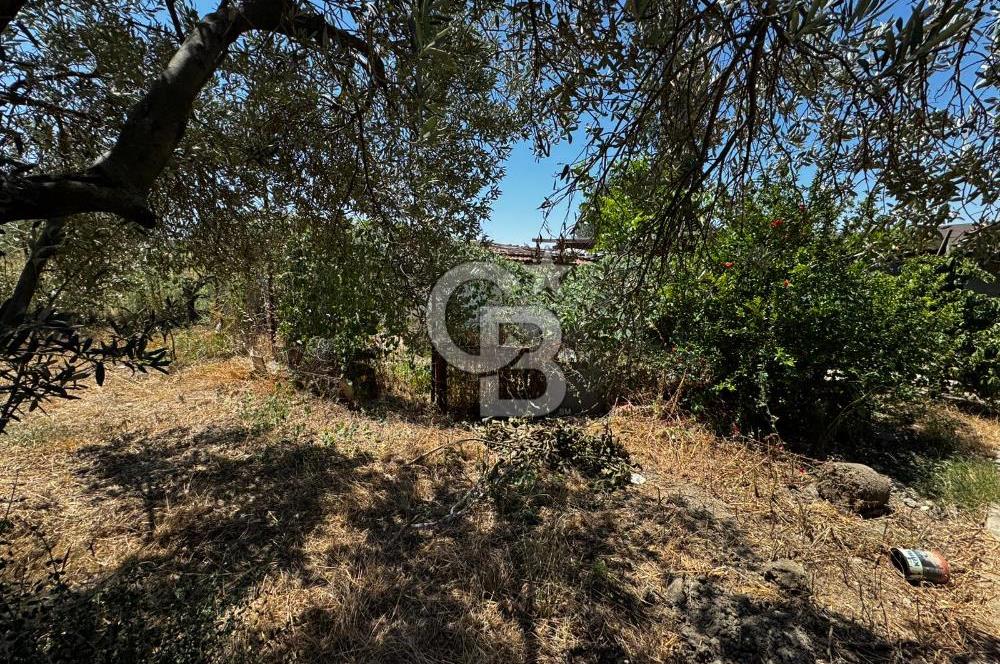 ÇANAKKALE, LAPSEKİ, KANGIRLI KÖYÜNDE SATILIK MÜSTAKİL EV