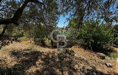 ÇANAKKALE, LAPSEKİ, KANGIRLI KÖYÜNDE SATILIK MÜSTAKİL EV