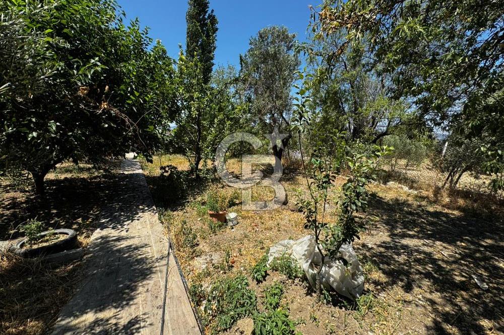 ÇANAKKALE, LAPSEKİ, KANGIRLI KÖYÜNDE SATILIK MÜSTAKİL EV