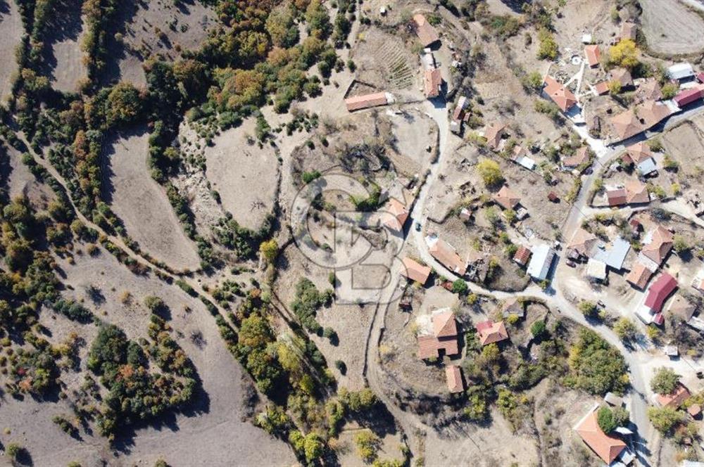 ÇANAKKALE MERKEZ KARACALAR KÖYÜ DOĞA İLE İÇ İÇE SATILIK ARSA