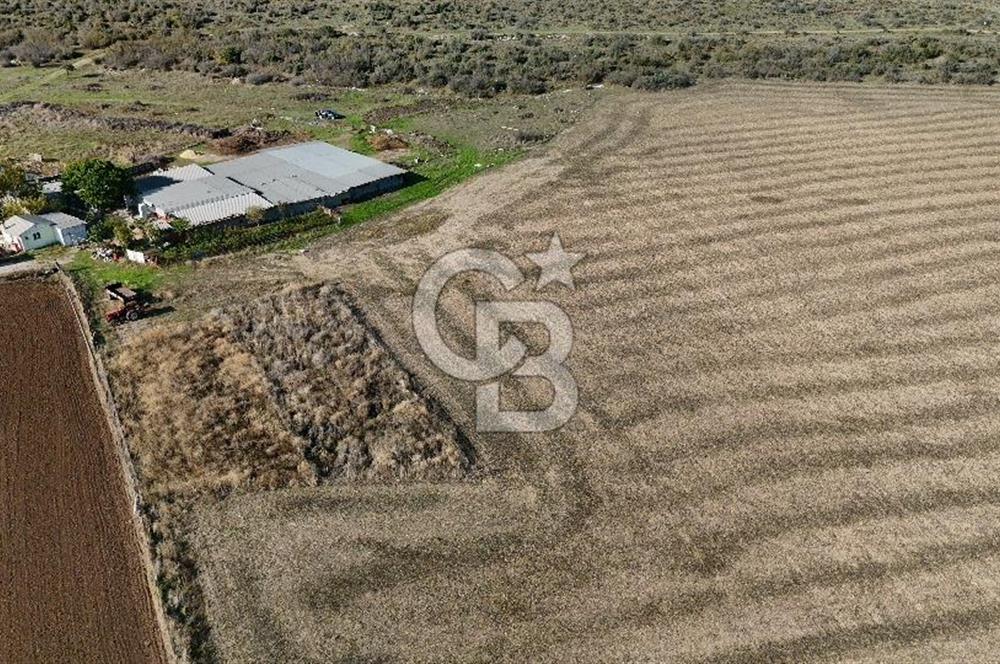 ÇANAKKALE EZİNE MAHMUDİYEDE MÜKEMMEL KONUMDA 432 m² İMARLI ARSA